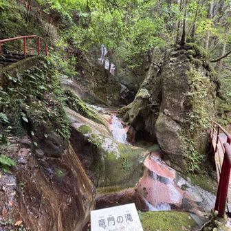 心も洗われる