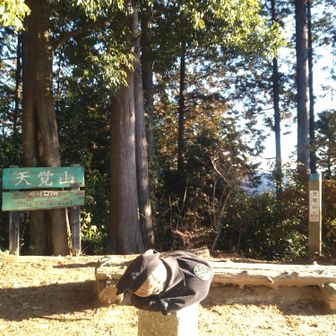 天覚山ෆු(˃ர˂)ෆු
2回目の登頂です♪