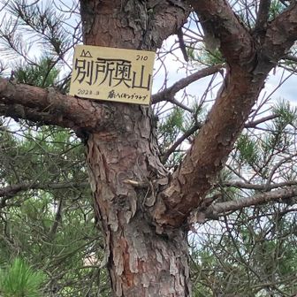 一座め。