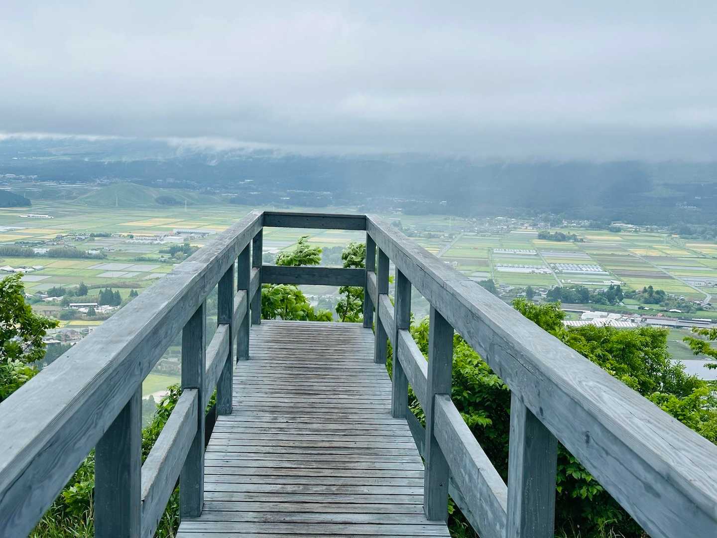時期とタイミング次第では眼下に雲海が広がるそうです。