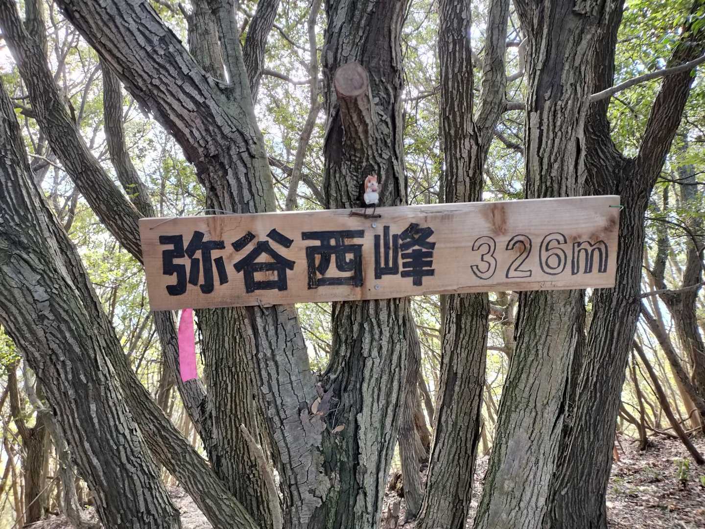 弥谷山西峰。
やはり眺望なしベンチなし。