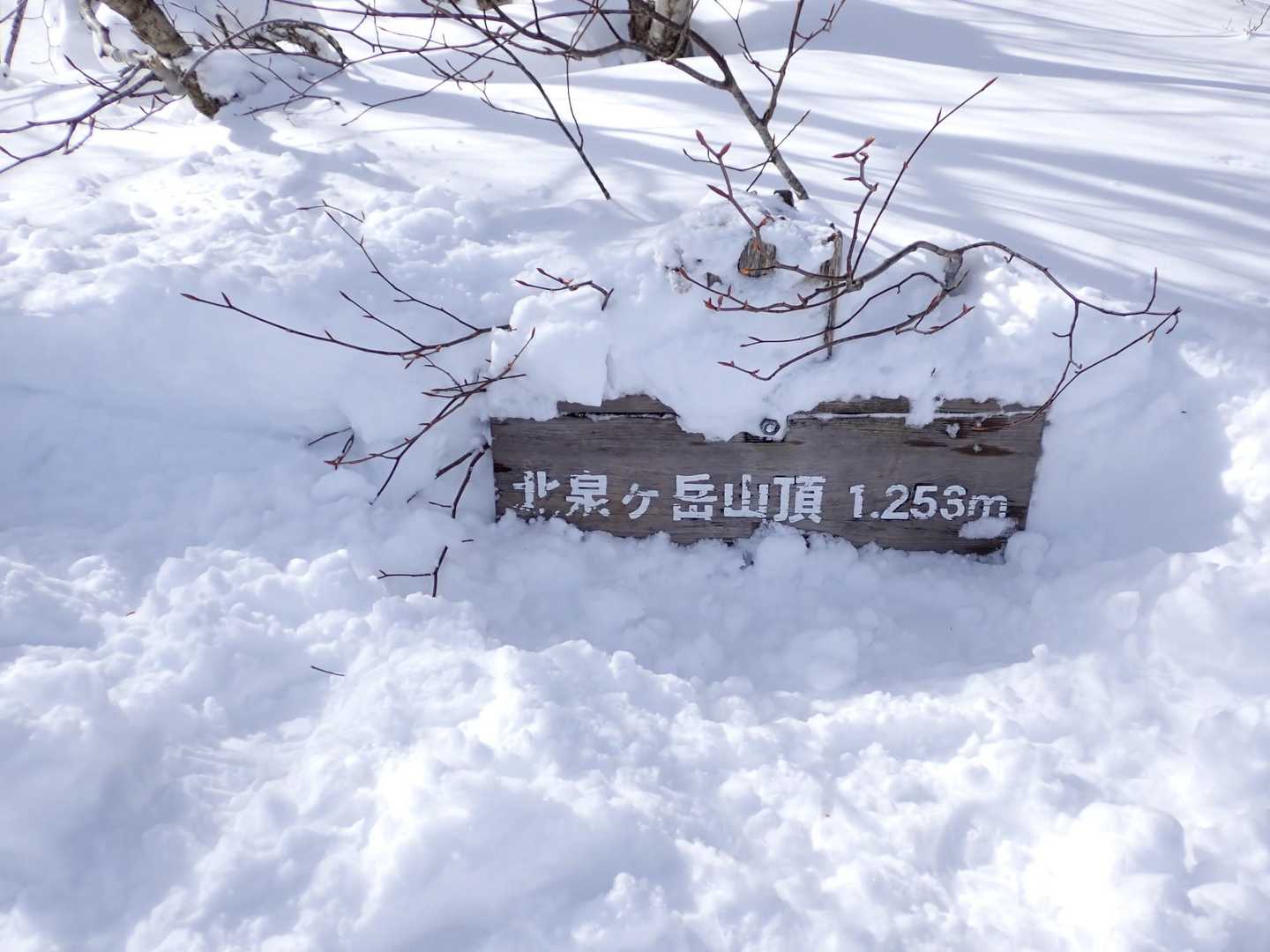 山頂表示は埋もれてます！