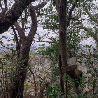 まぁ、頂上の銘板も写しときますか。