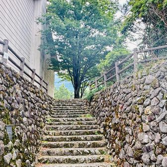 ここから山に入ります。