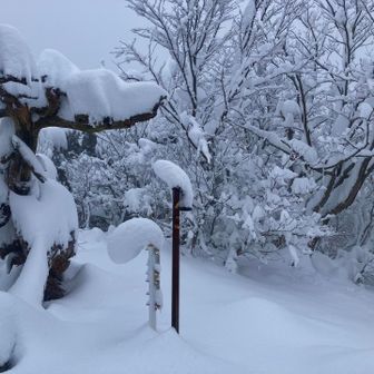 赤松山に到着〜🏔️