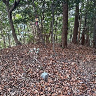 長尾山着いた。
