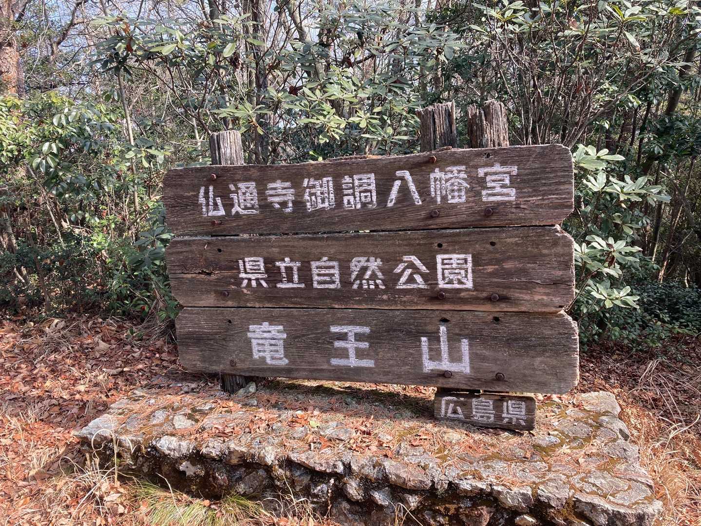 日本中に竜王山ってありますが、ほとんど雨乞いのお山だそうです。
槌山マダムに教わりました😄