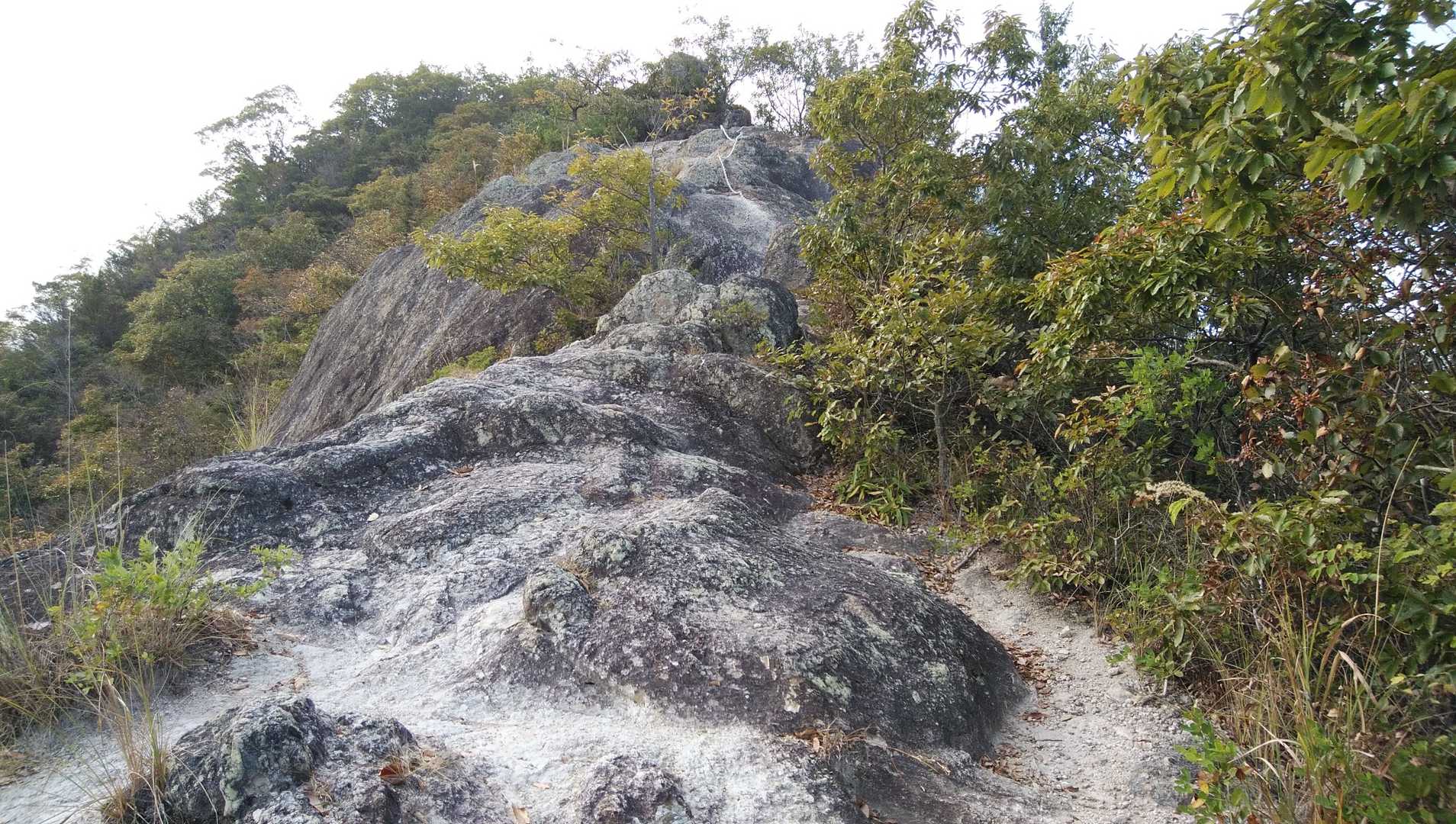 来てしまった、大丈夫かな、何とかクリア