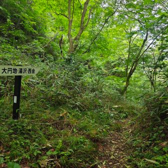 今回は一般コースで下山しました。
