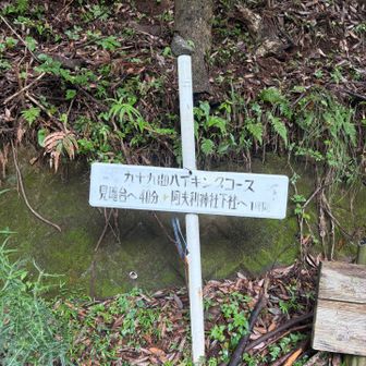 ここから登るのも初めて。バスで来るともう少し下の登山口から上がります。