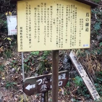 つまらない事には引き運がいいのでさて？・・・💡合わない願いをこめて一旦スマホの待ち受けを　"広瀬すず（鈴）”　にする、