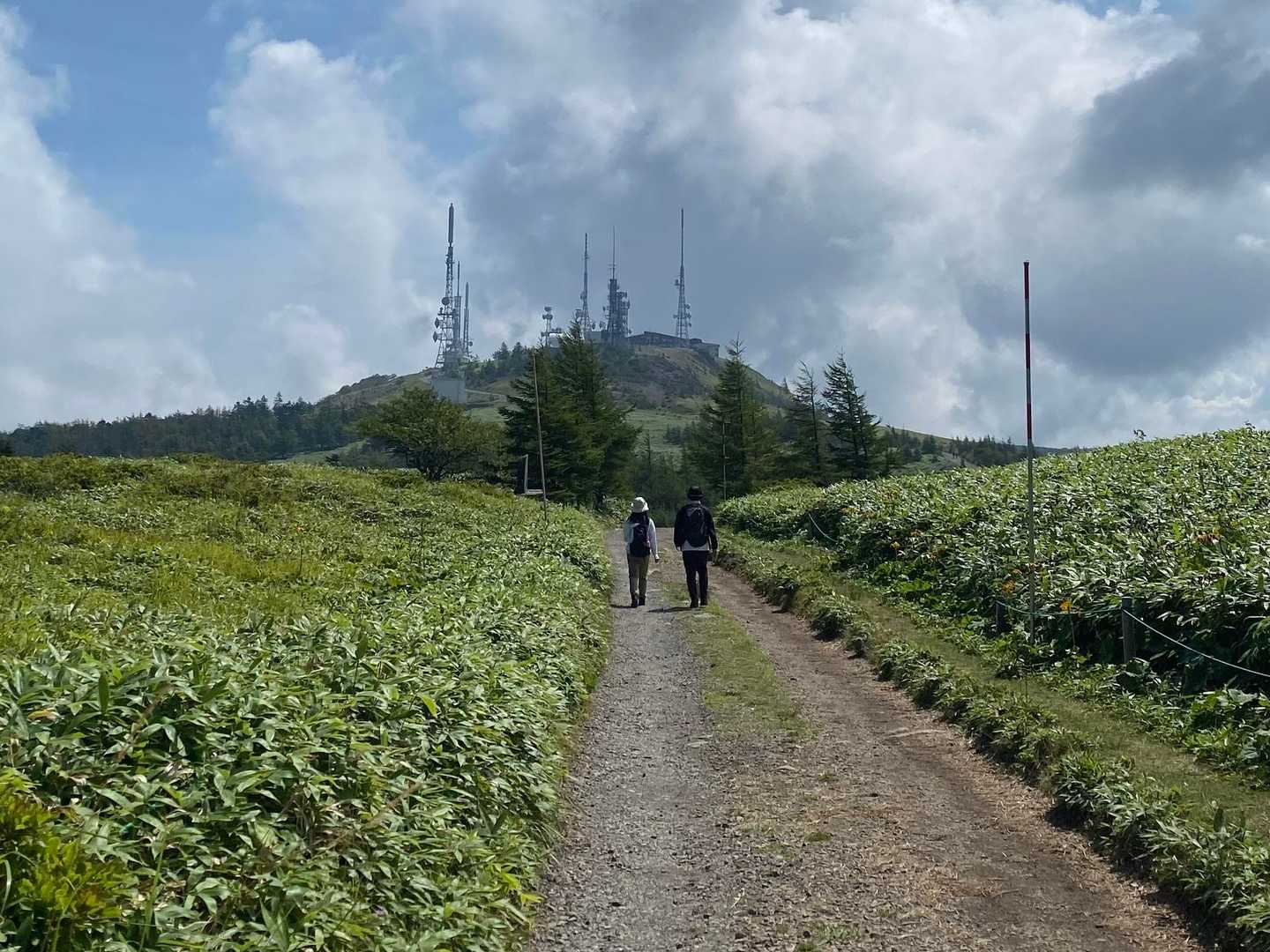 さて、王ヶ頭へ向かいますよ。