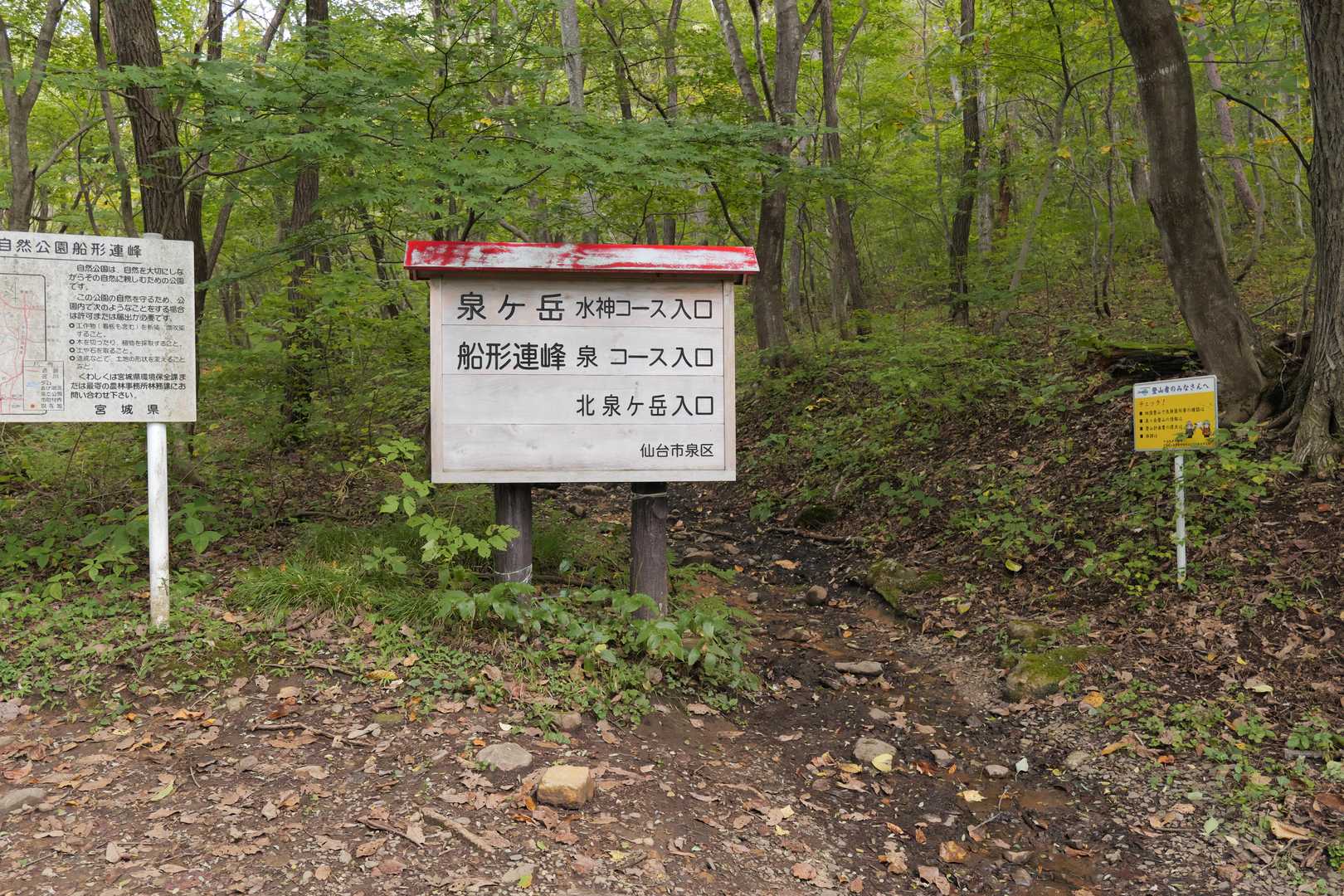 いつもの水神コースから。