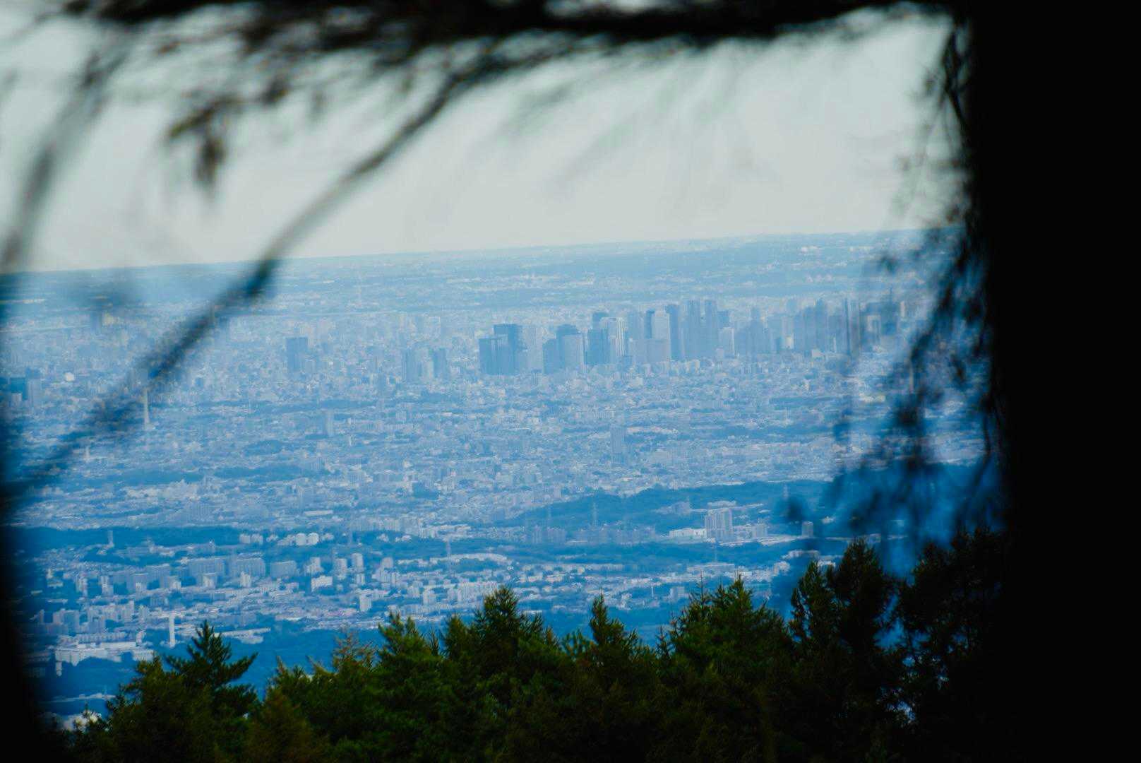初台と新宿付近のビル群🏙️