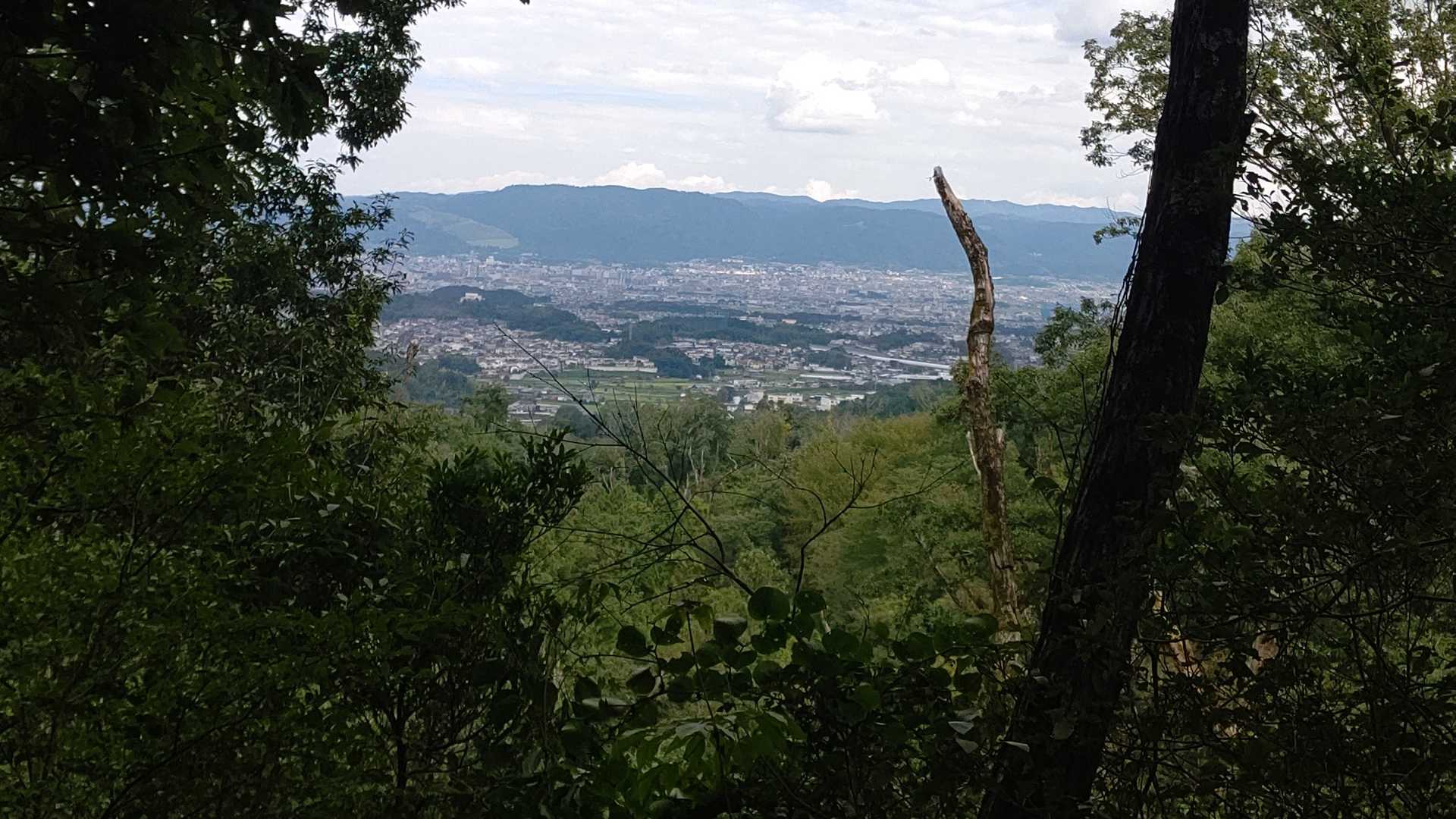 若草山方面見えました🔭
