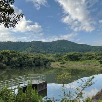 長尾池