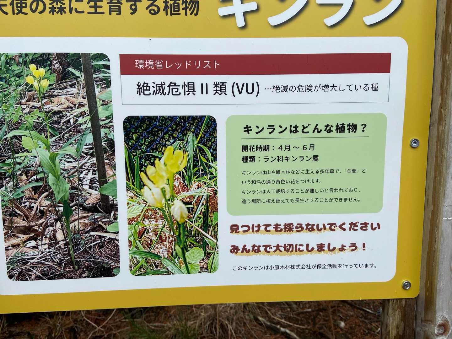 えぇー見たいなぁ