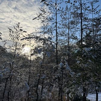 太陽が出てきた✨