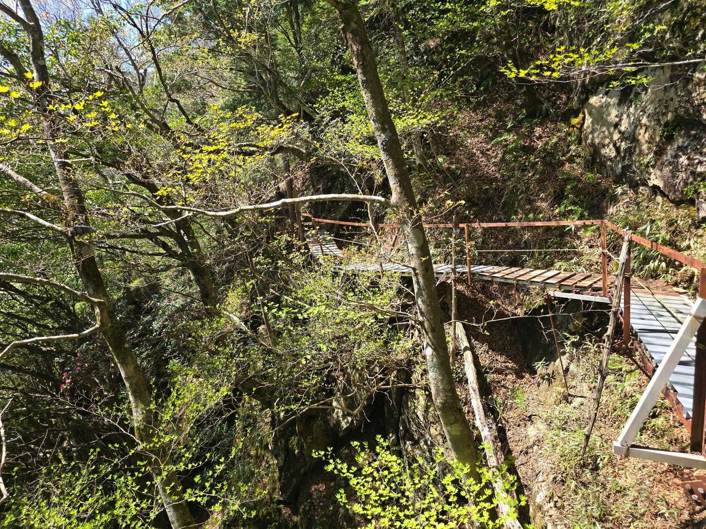 岩黒山-手箱越-手箱山-筒上山 周回コースの写真