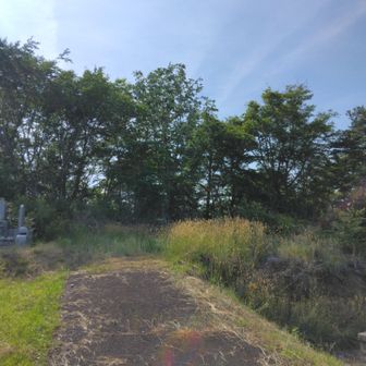 意外にも三角点付近まで来られた
