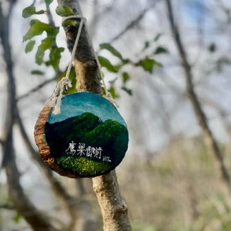 いつもなんちゃって登頂してた鷹巣午前に今日はキッチリ来ました。

不明瞭な箇所もちらほら…
いつものルートが平坦なだけにこっち周りはツラかった…😅