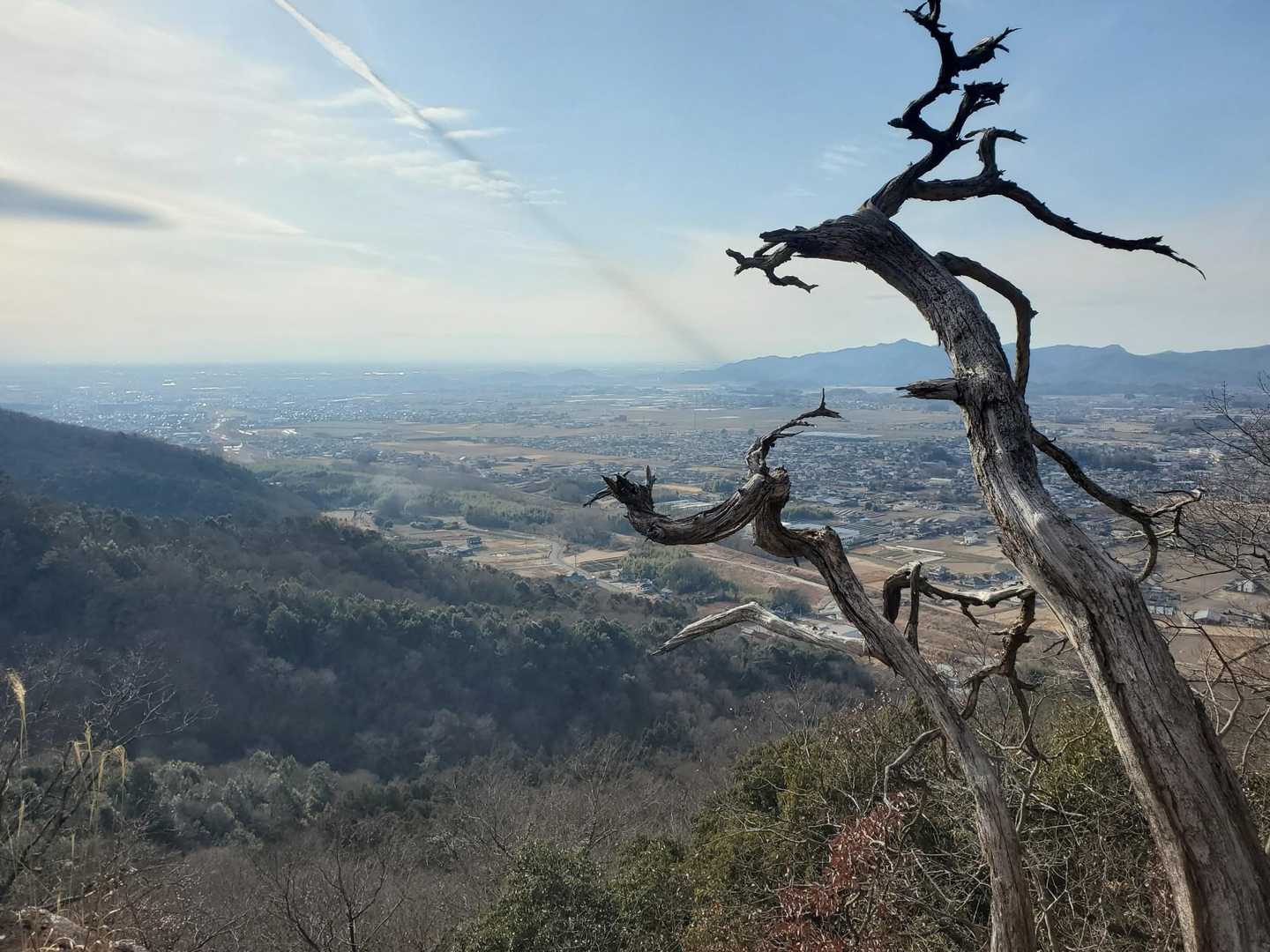 露垂根神社-権現堂-岡崎山登り口-浅間山登り口-浅間山-唐 周回コースの写真