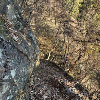 下りは一般道で。
一般道とはいえ山頂直下は激下りの葉っぱ地獄で油断ならん🍂
しっかり鎖のお世話になりました。
一般道の鎖はちゃんと整備してありそうでした。