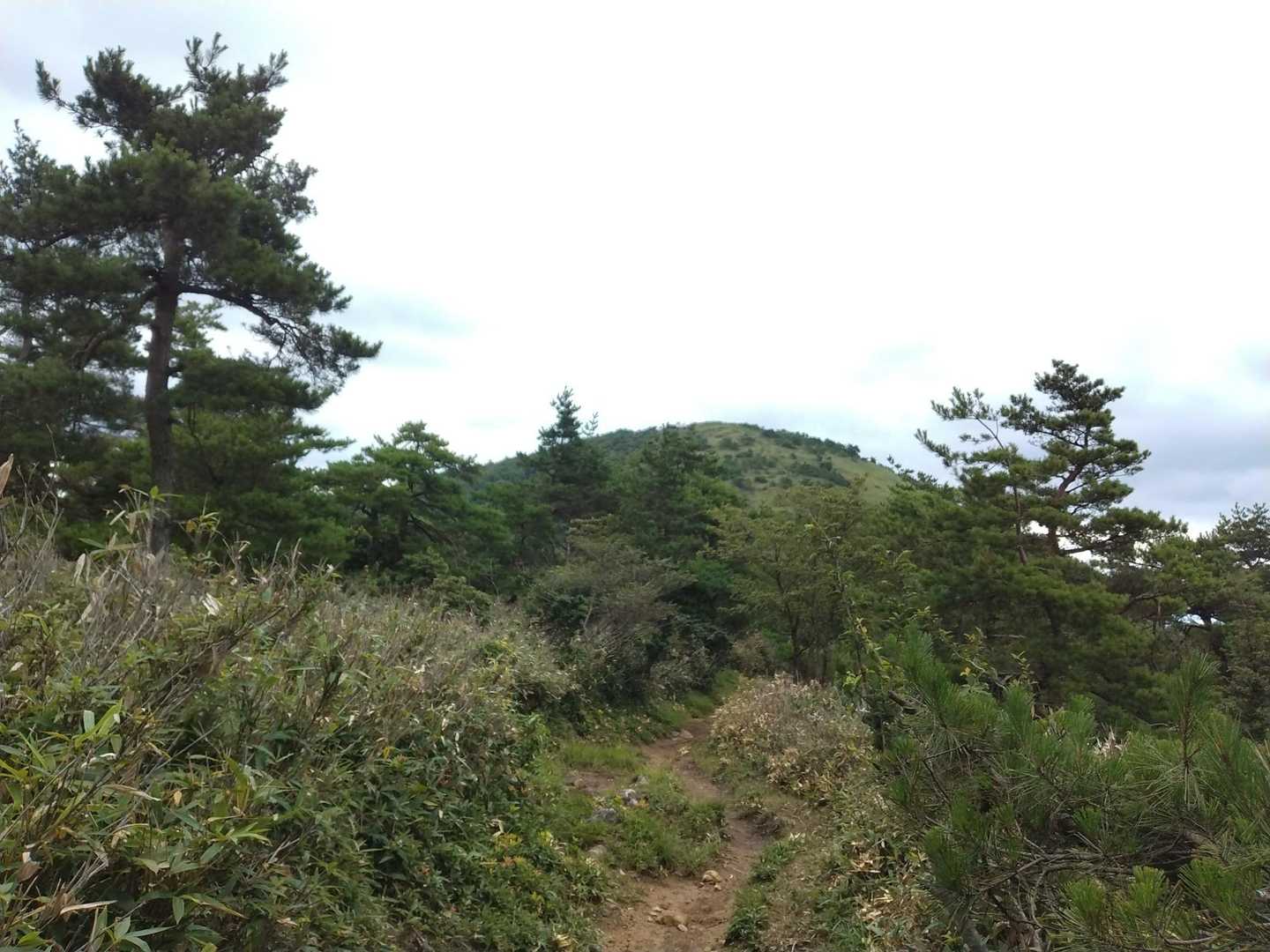 今日は雲ってるので、風もあり涼しい～
27℃くらい