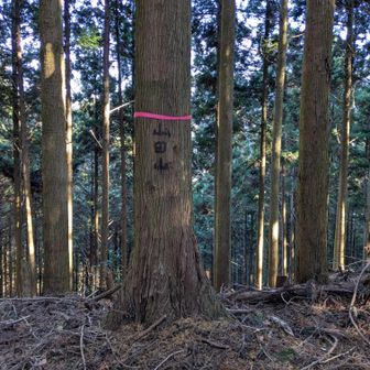 山田山　へー！