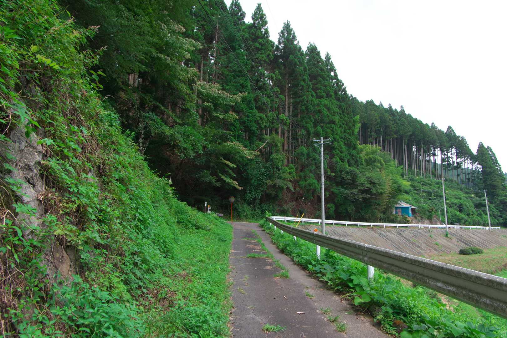 滝が終わると激熱ロード歩き💦