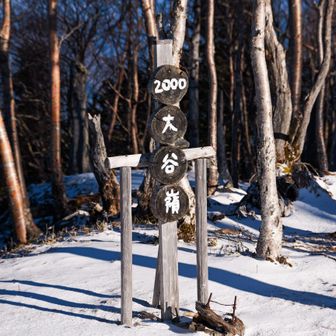 大谷嶺にちゃくー