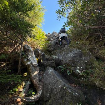 よじ登る