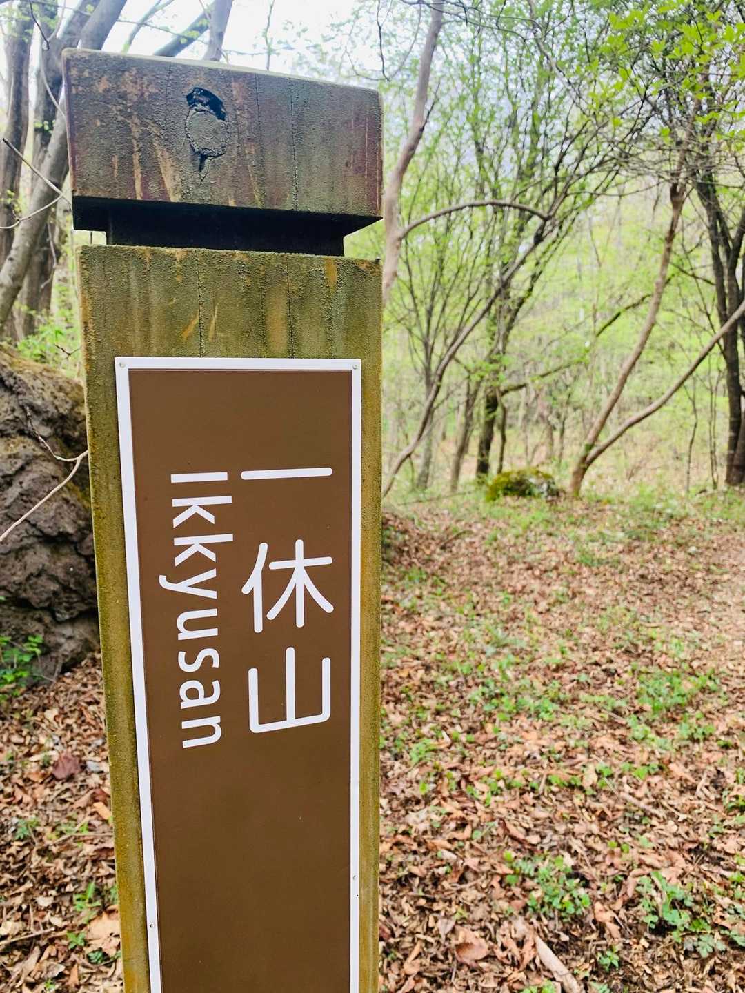 一休山 往復コースの写真