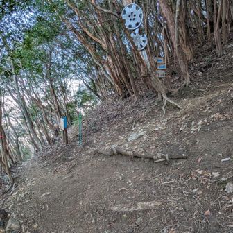 右へ👉️
ね、けっこう急勾配↗️