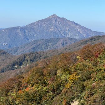 奥の院から正面に祝瓶山㊗️