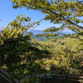 旧ロープウェイ山頂駅付近から