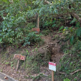 ここが名護岳への登山口!!