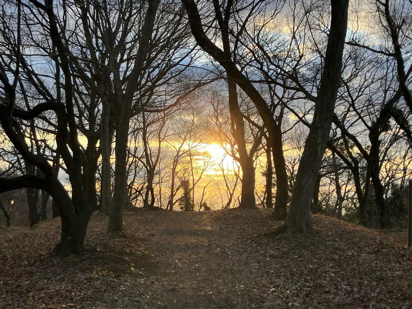 ✨