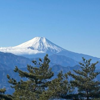 良いですね〜✨️