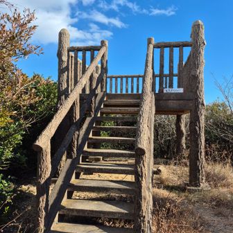 今度は竜宮バルコニー🐠🐙🐡
眺めは乙姫バルコニーや富士見テラスとそれほど変わらずですが、いちばん風が強かったです🌀