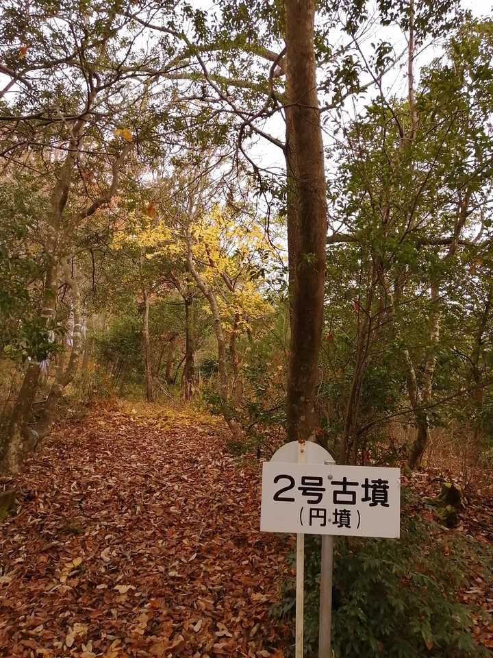 もう少し歩くと、2号古墳がありました😊