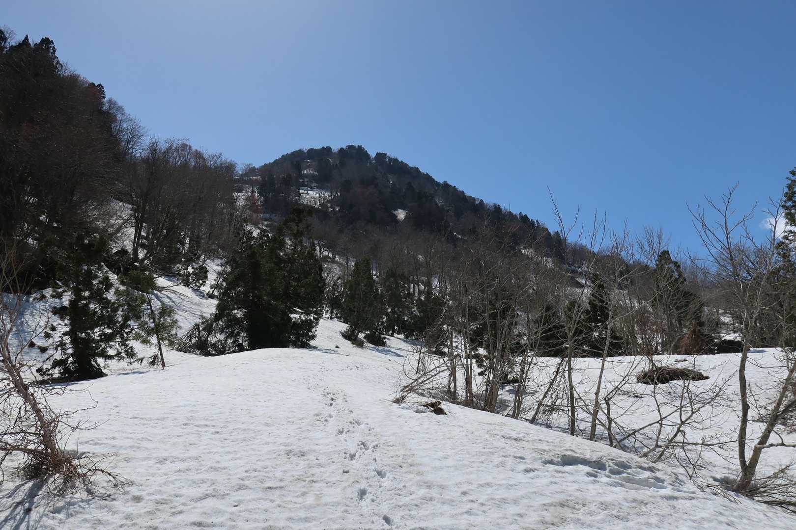 明星山を振り返り～