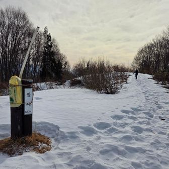 萱峠、雪道カチコチ
🌞の予報だったのに雲が厚い！