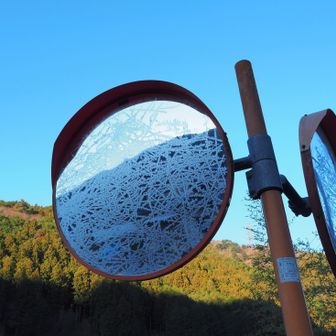 きれいなサシが入った霜降りミラー