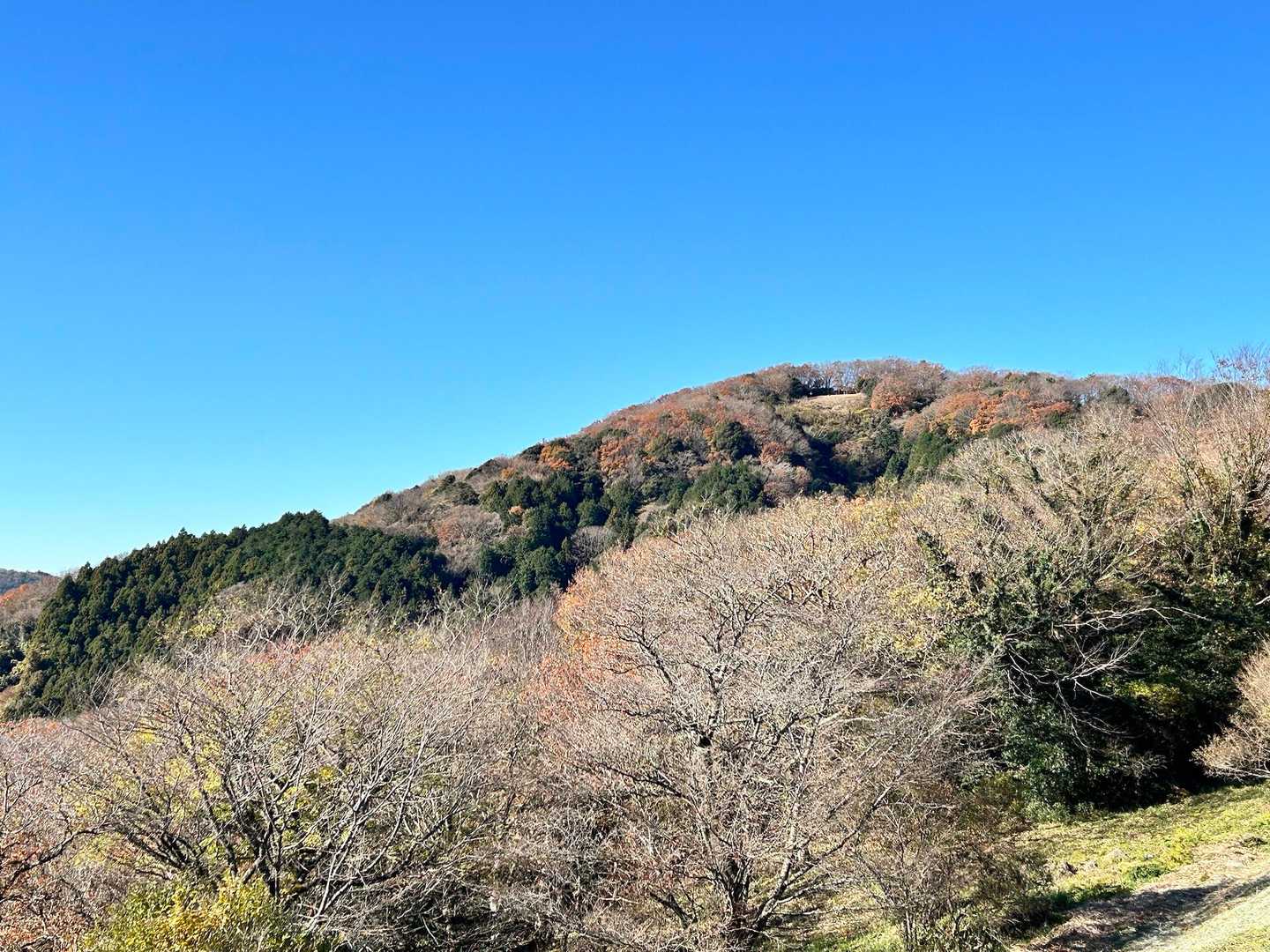 さっきまでいたパラグライダー飛び出し台が見える👀