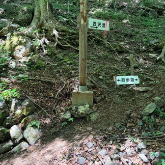 疲れたけど、最高🙋‍♀️
