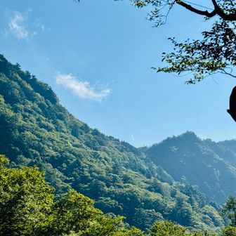三ッ森山方面