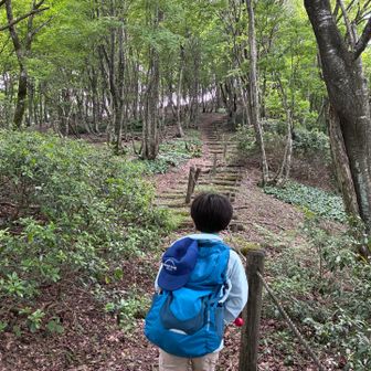 この階段が1番の登りでした