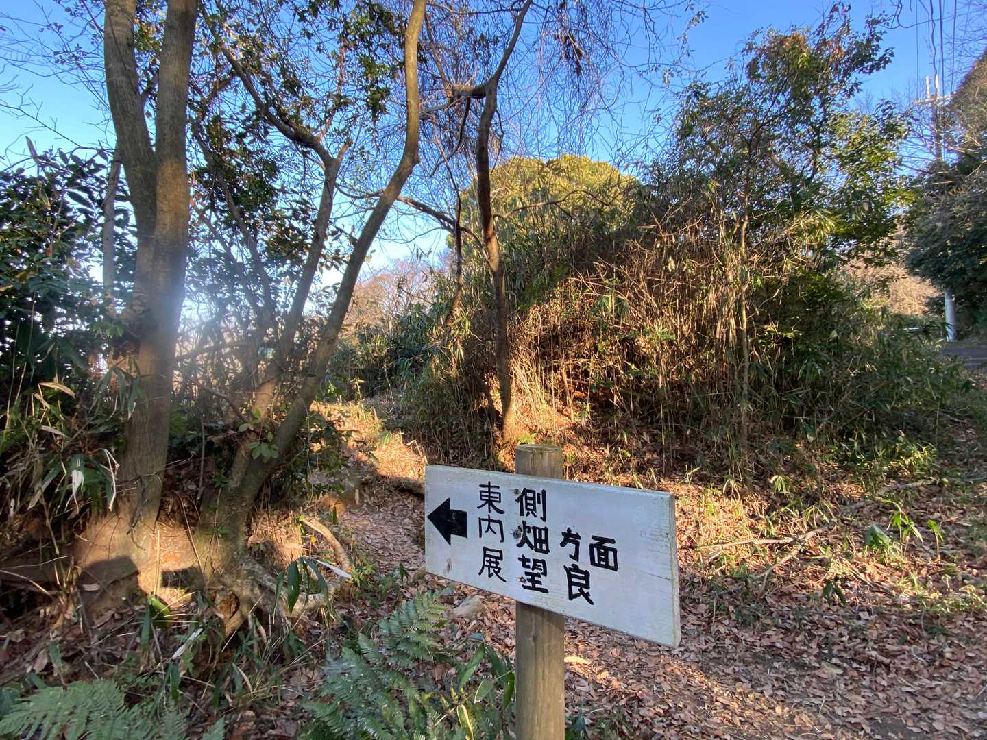 展望は？