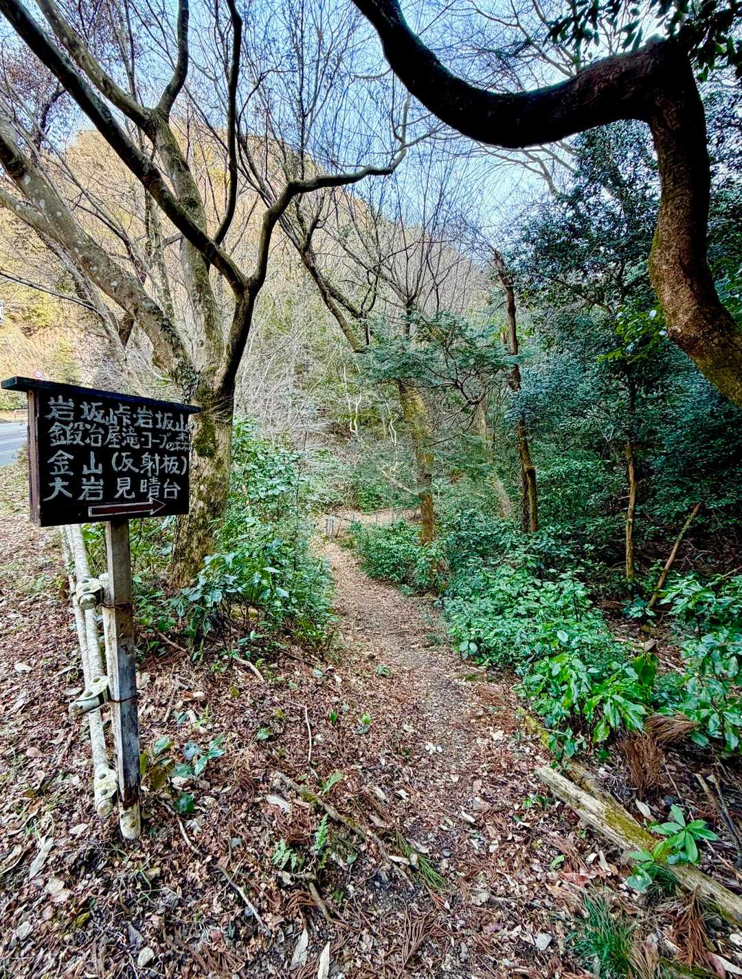岩坂峠の入口から！